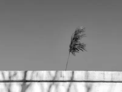 קזינו קלאסי סלוטס אפליקציה לנייד